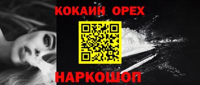 герыч Кингисепп