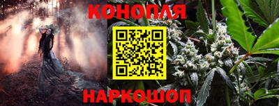 герыч Кингисепп