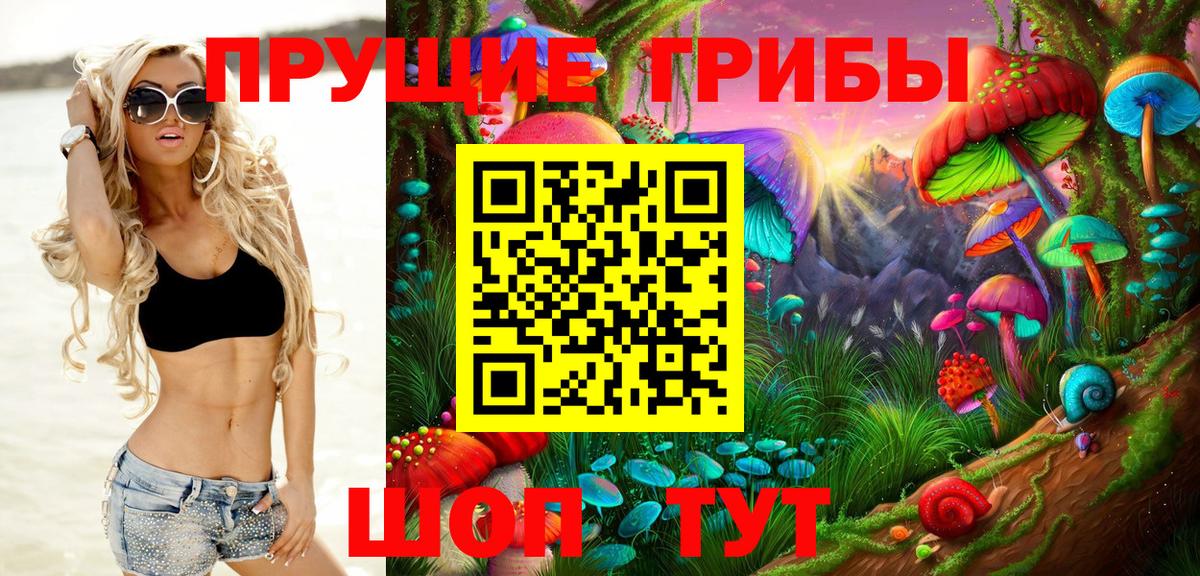 Киржач  Псилоцибиновые грибы Psilocybine cubensis  Вход с VPN 
